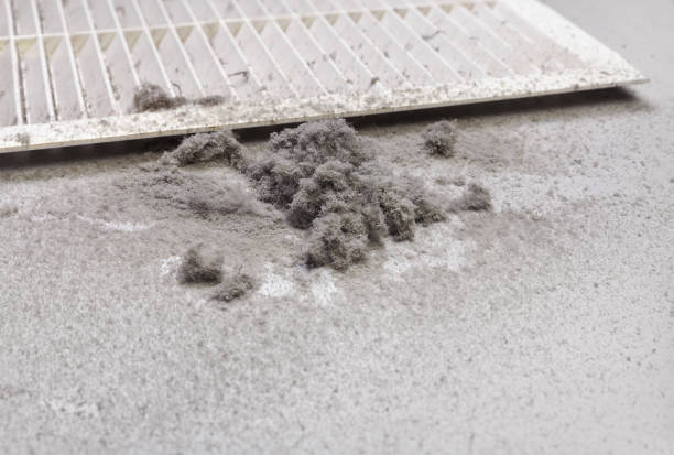 Home Air Vent Cleaning in Carlisle Rockledge, AL