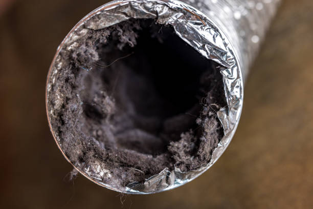 Best Affordable Air Duct Cleaning  in Carlisle Rockledge, AL